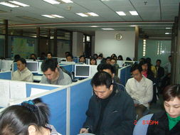 專(zhuān)業(yè)賦能，價(jià)值共創(chuàng) 廣東美佳聯(lián)房地產(chǎn)與土地評(píng)估咨詢(xún)及房地產(chǎn)經(jīng)紀(jì)服務(wù)解析